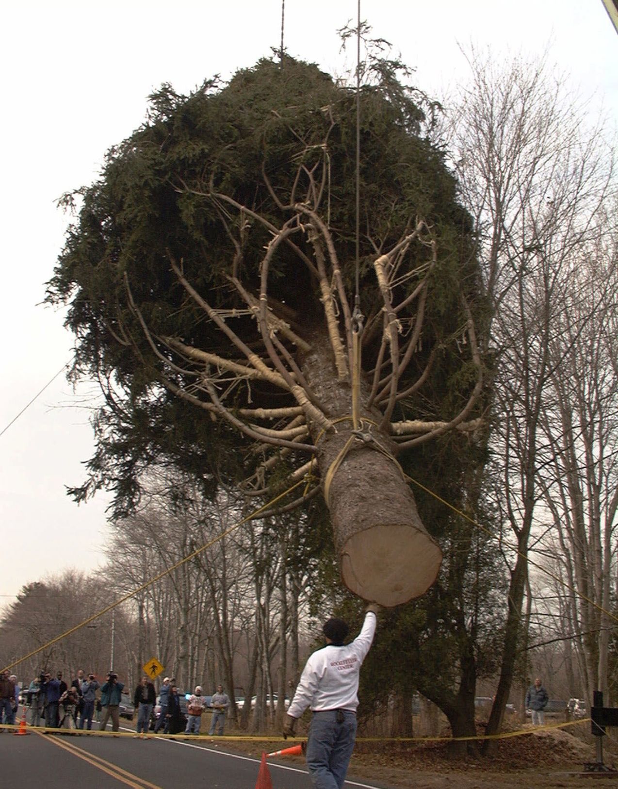 1999: Rockefeller tree